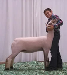 Steva Robinson Champion
