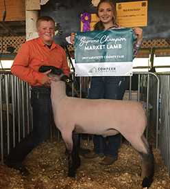 Steva Robinson Show Stock Winners