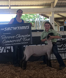 Steva Robinson Show Stock Winners