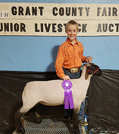 Steva Robinson Show Stock Winners