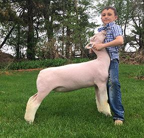 Steva Robinson Show Stock Winners