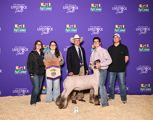 Third Overall Market Lamb (Reserve Hamp)
LSU Spring Show