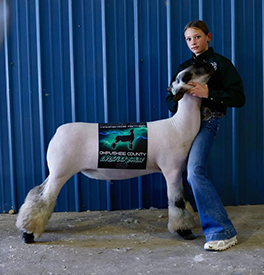 Champion Hamp & 3rd Overall
Okfuskee County Spring Show
